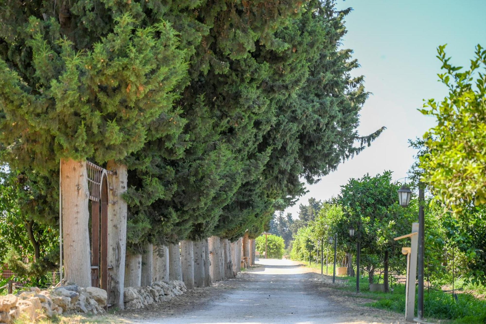 Agriturismo Torre Vendicari Noto Ngoại thất bức ảnh